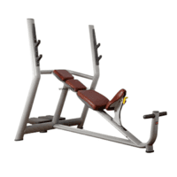 LJ-5628(Olympic incline bench)